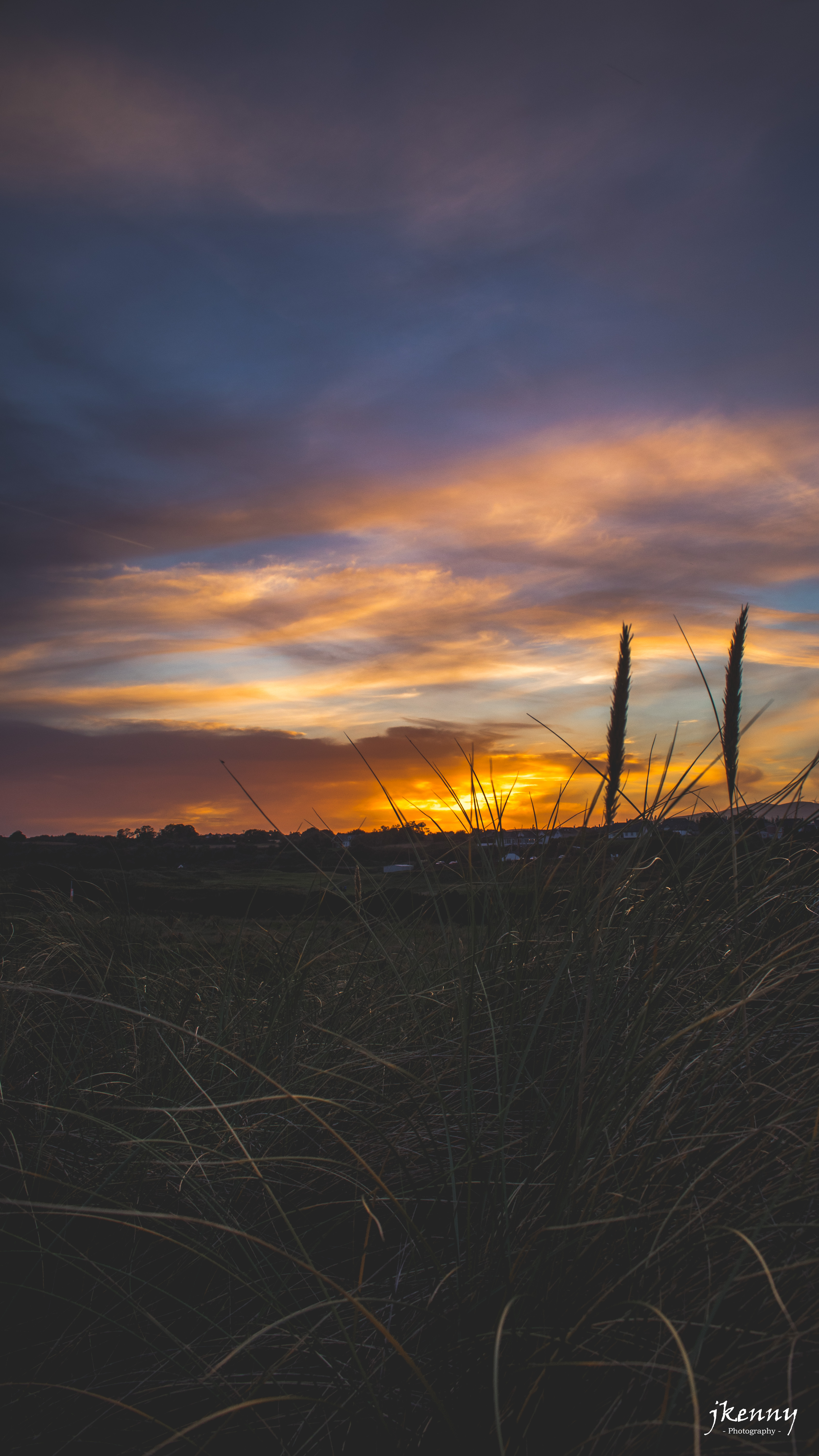Sunset through the grass.