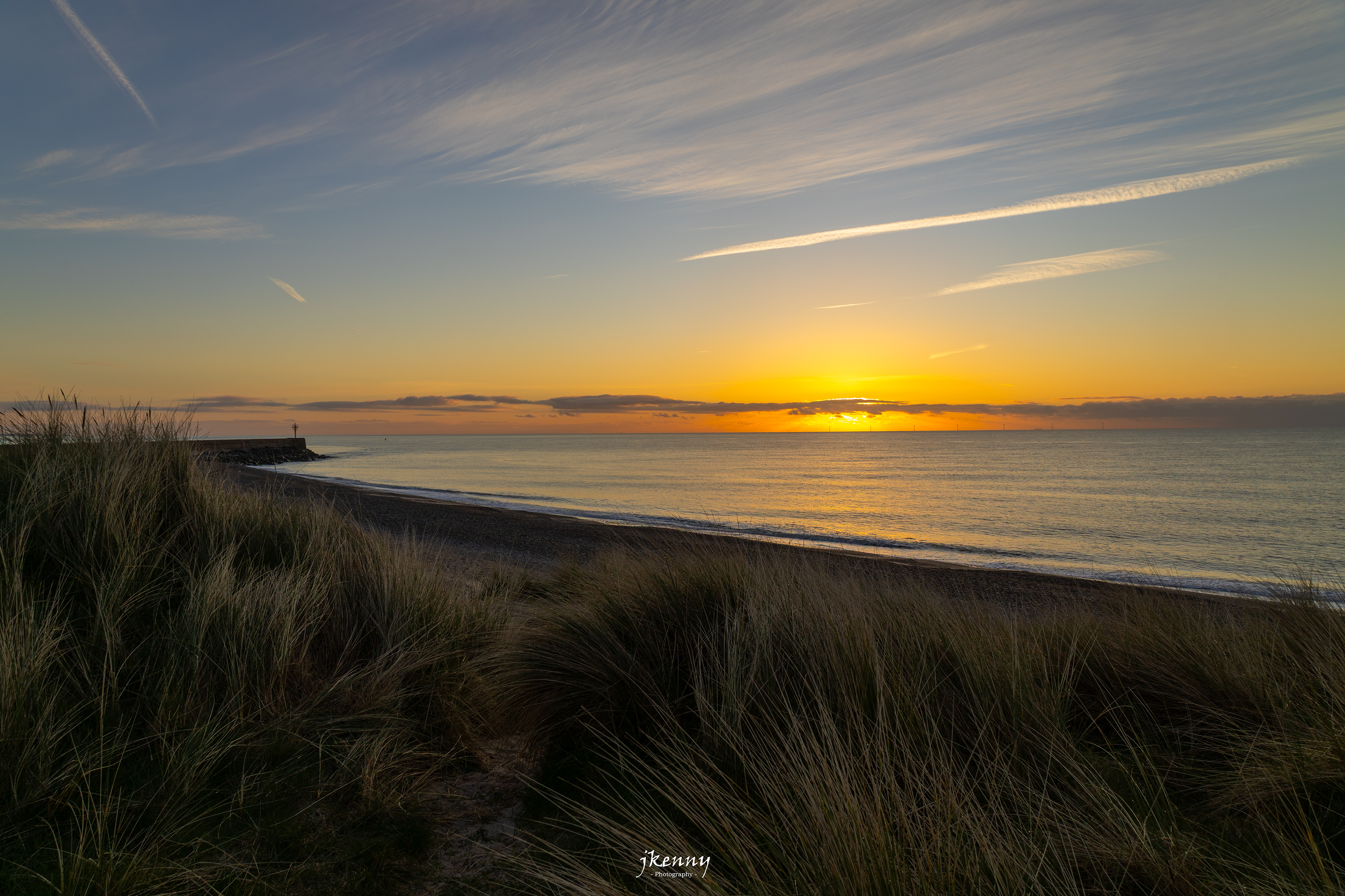 Those spring morning walks