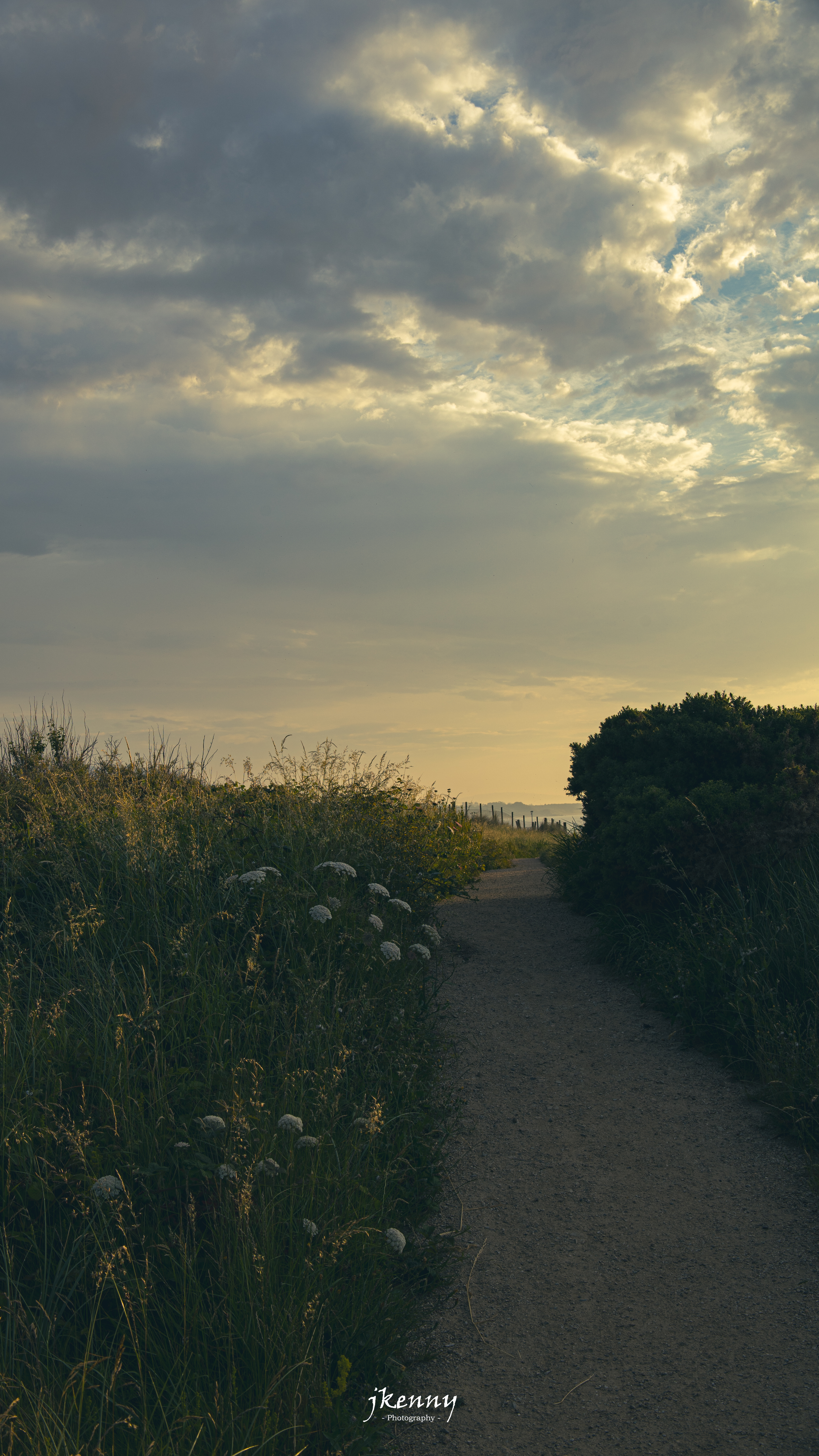 Morning walks
